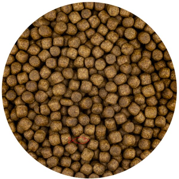 Vivani Grower Vijvervoer 6mm - Premium Visvoeding 6kg voor Groei & Vitaliteit