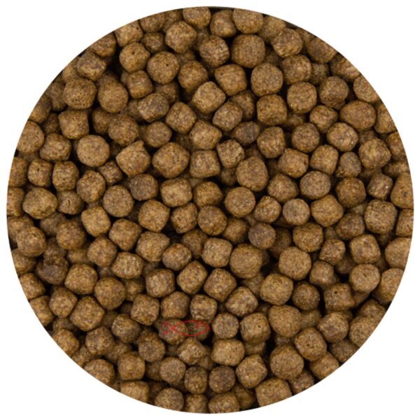 Pond Pro Koivoer - 6mm Pellets voor Gezonde Groei & Stralende Huid - 5kg Pakket
