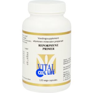 Volgende productafbeelding