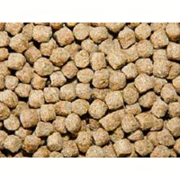 Pond Pro Pellet Staple 5kg - Compleet Koi Voer voor Groei & Kleur - Drijvende Vijverpellets
