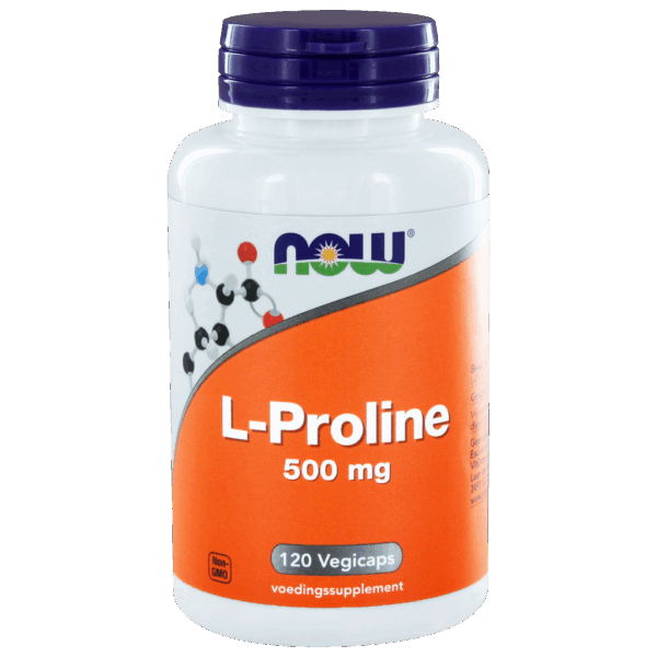 NOW L-Proline 500mg Capsules