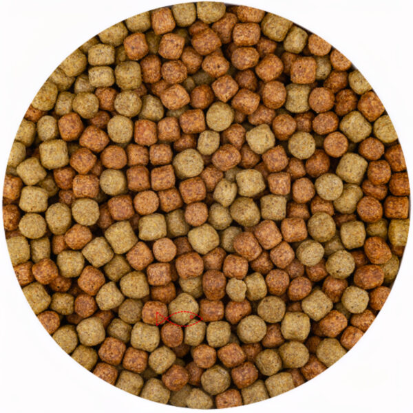 Vivani Multi Season 6mm Koi Vijvervoer - Immune Boost met Knoflook - 5L zak