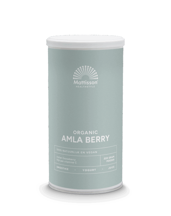 Mattisson HealthStyle Organic Amla Berry Poeder
