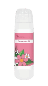 Vorige productafbeelding