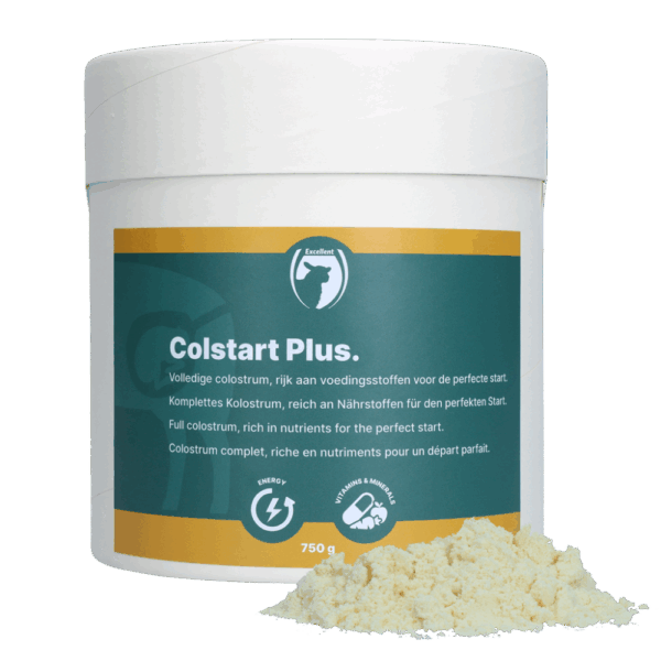 Colstart Plus (lam/geit)
