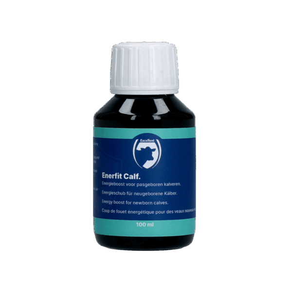 Enerfit Kalf / Big