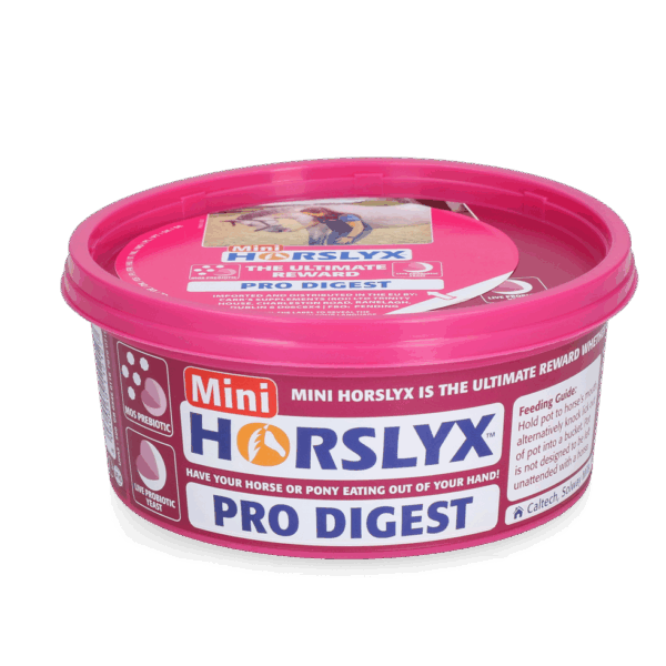 Horslyx Mini Pro Digest