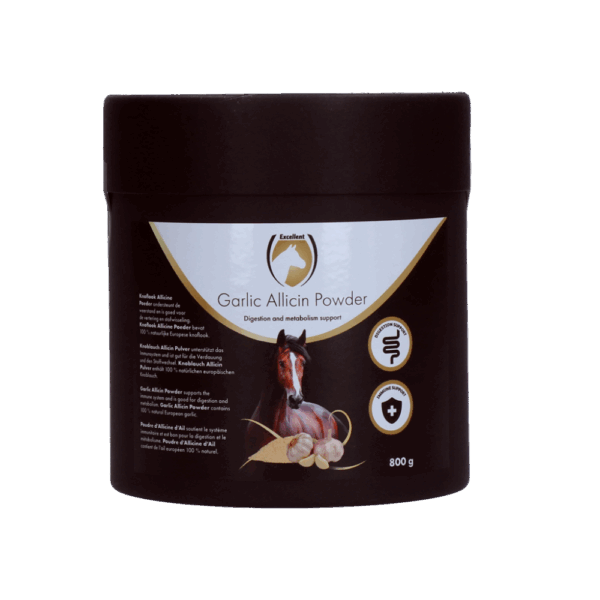 Excellent Horse Garlic Allicin Powder 800 g
