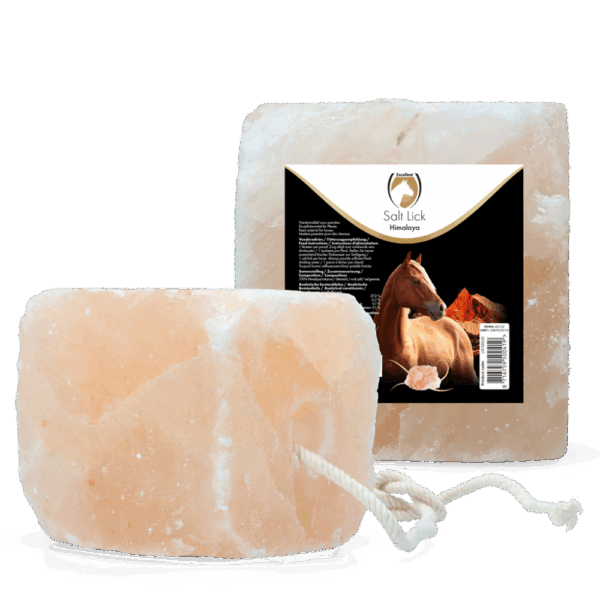 Excellent Horse Salt Lick Himalaya 2-3 kg (Met touw)