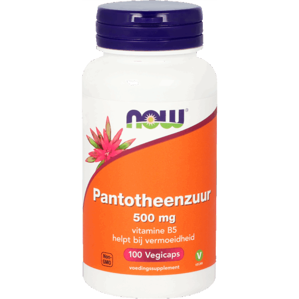 NOW Pantotheenzuur 500 mg capsules