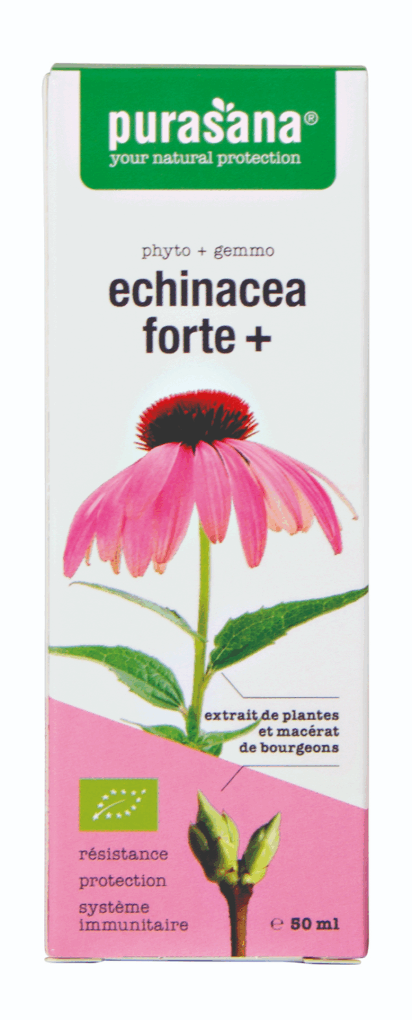 Purasana Echinacea Forte+ Druppels