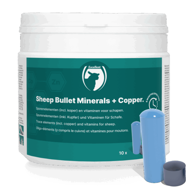 Sheep Bullet Minerals + Koper