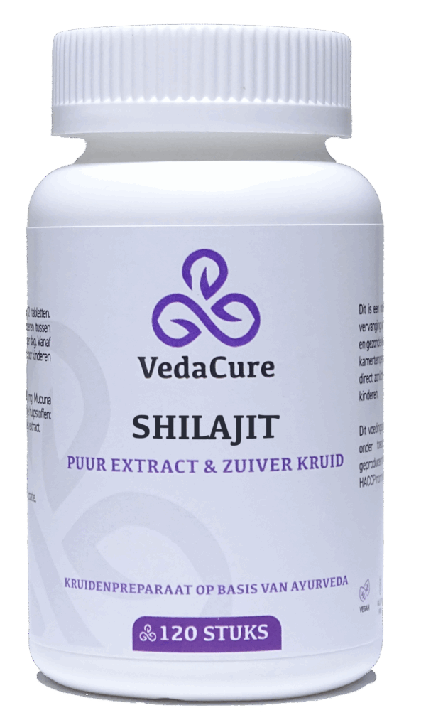 VedaCure Shilajit Tabletten