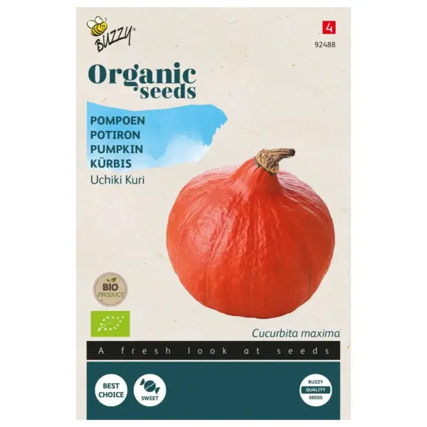 Biologische Pompoen Uchiki Kuri