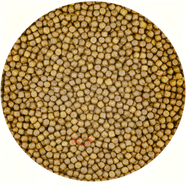 Vivani Grower 6mm Professionele Vijvervoeding - Volledige Voer Mix in 5L Emmer