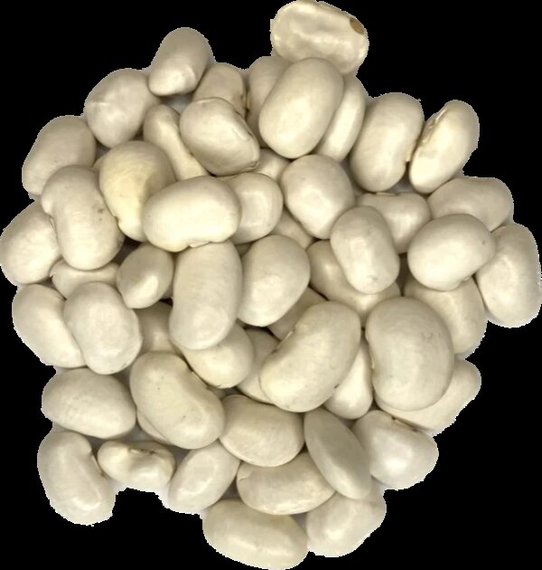 Grote Witte Bonen "pronkers" 450 gram